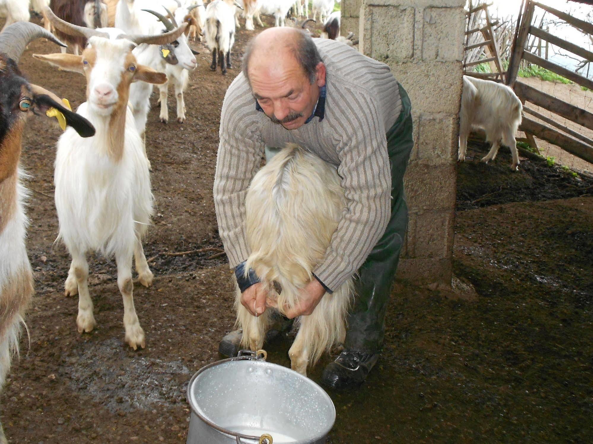 아르버스 L'Aquila 빌라 외부 사진